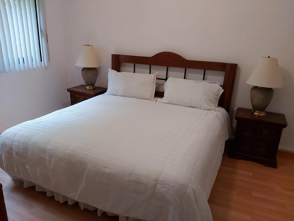 Steinhaus Suites Homero Mexico By Eksteriør billede