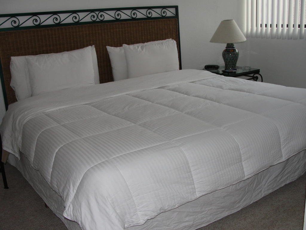 Steinhaus Suites Homero Mexico By Eksteriør billede
