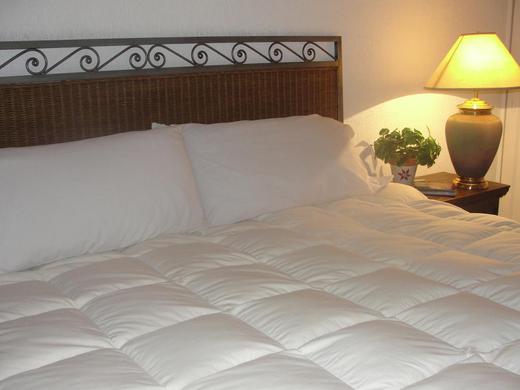 Steinhaus Suites Homero Mexico By Eksteriør billede