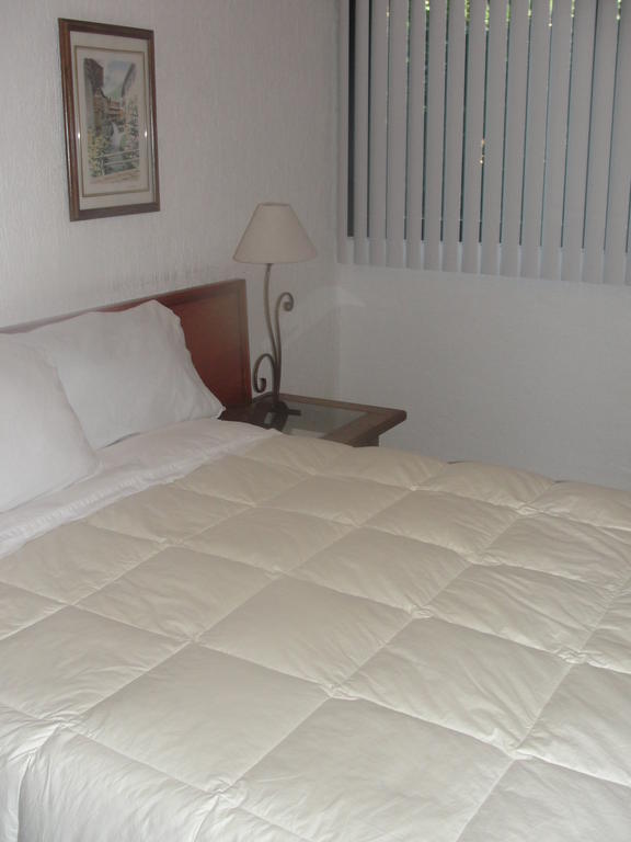 Steinhaus Suites Homero Mexico By Eksteriør billede